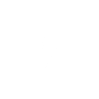Flash